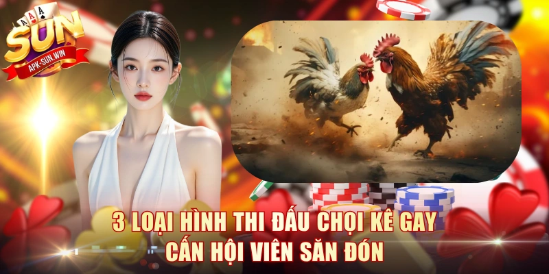 3 loại hình thi đấu chọi kê gay cấn hội viên săn đón