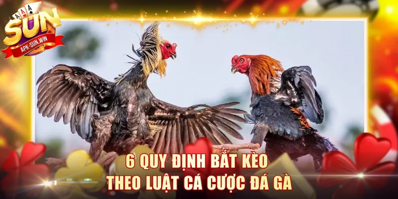 6 quy định bắt kèo theo luật cá cược đá gà