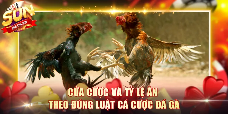 Cửa cược và tỷ lệ ăn theo đúng luật cá cược đá gà