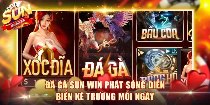 Đá gà Sun Win phát sóng diễn biến kê trường mỗi ngày