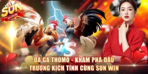 Đá Gà Thomo