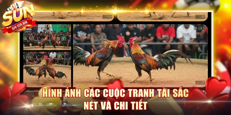 Hình ảnh các cuộc tranh tài sắc nét và chi tiết