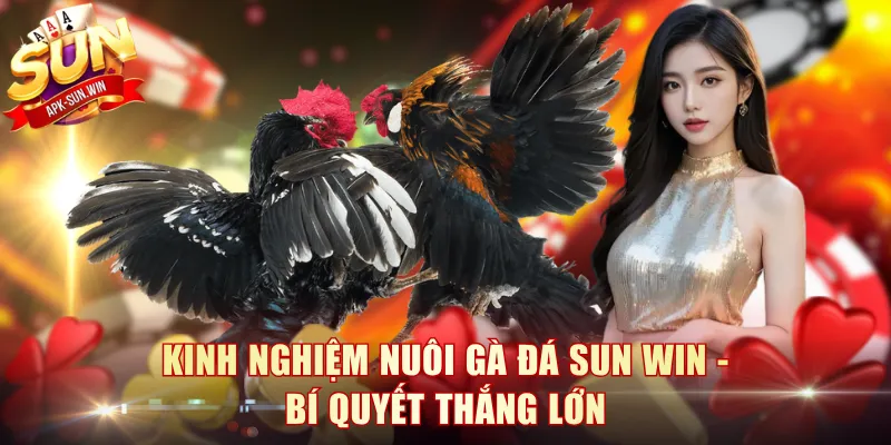 Kinh Nghiệm Nuôi Gà Đá