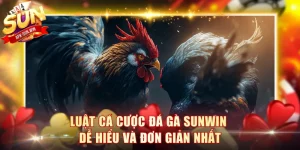 Luật Cá Cược Đá Gà