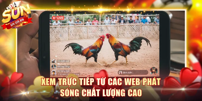 Xem trực tiếp từ các web phát sóng chất lượng cao
